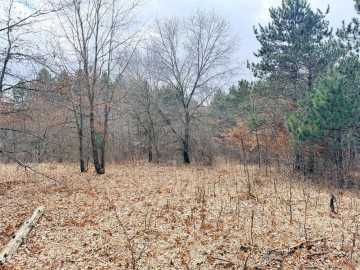 Osceola, WI: Lot 2 Big Lake Drive