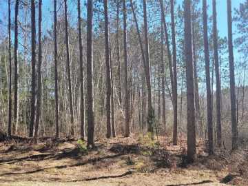 Winter, WI: On Hunter Lake Road