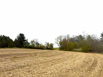 Hixton, WI: 74 acres Sand Prairie Rd. 