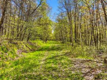 Trego, WI: W6474 River Road
