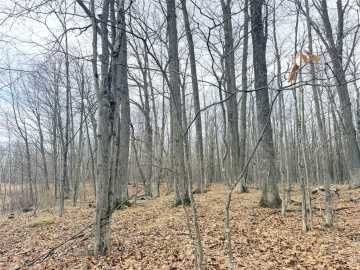 Glen Flora, WI: Lot 4 County Highway X 