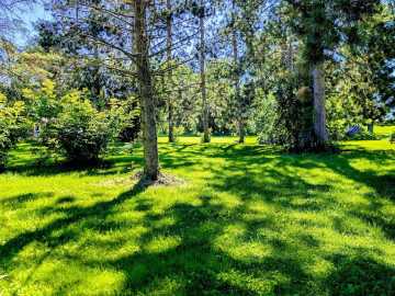 New Auburn, WI: Lot 1 & 14 South East Street