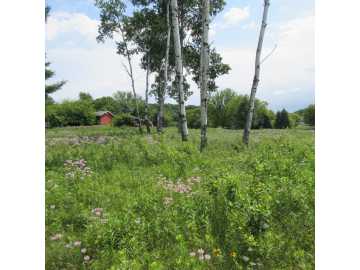 Menomonie, WI: Lot 12 516th Street