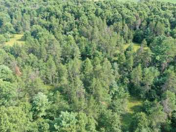 Fairchild, WI: 13160 S Camp Road