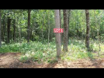 Spooner, WI: Lot 5 Birch Tree Trail