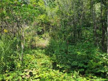 Eau Claire, WI: 308 Arbor Hills Circle