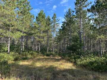 Gordon, WI: Near County Road Y 