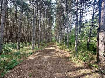 Colfax, WI: N9679 630th Street
