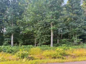 Fairchild, WI: ### Oak Drive 
