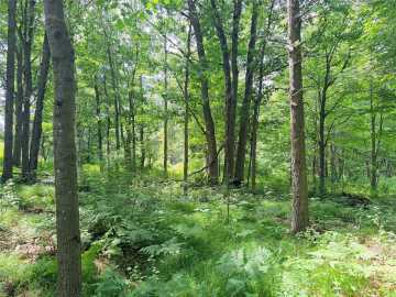 Bruce, WI: 10 Acres Peterson Road