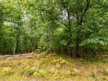 Barnes, WI: 001 Birch Lake Road 