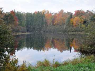 Ladysmith, WI: X Flambeau Avenue