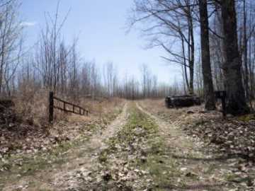 Gordon, WI: XXX E Beauregard Lake Road