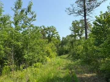 Dairyland, WI: TBD County Road T