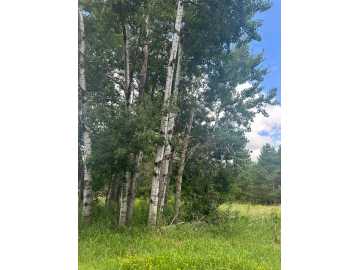 Spooner, WI: 0000 Scott Dr