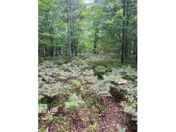 Danbury, WI: Lot 43 Deerpath Trail Way