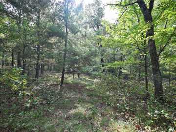 Minong, WI: Lot 2 Dragon Drive