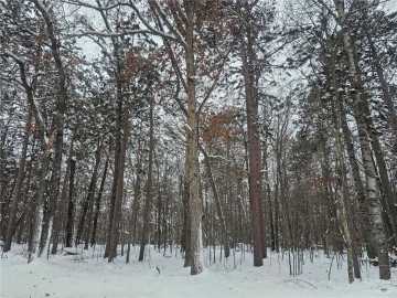 Danbury, WI: Lot 6 Long Lake Road