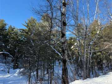 Cable, WI: Lot 4 CSM 2370 Kavanaugh Road