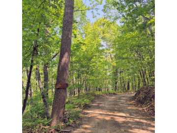 Hayward, WI: 14954 W Goss Road