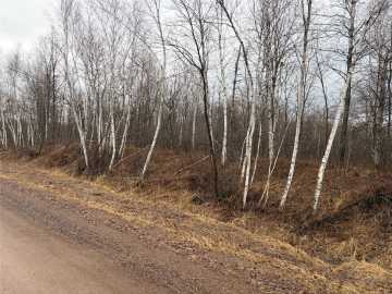 Ladysmith, WI: ON Sheep Camp Road 