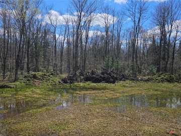 Couderay, WI: 12331 W Delap Lane