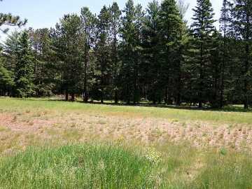 Hayward, WI: Lot 1 Highway B 