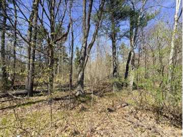Hayward, WI: 0 County Road B 