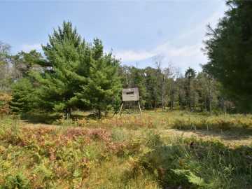 Danbury, WI: Lot 1 Pleasant Acres Trail