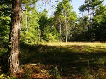 Black River Falls, WI: N9105 Flood -- Lot 5 Road