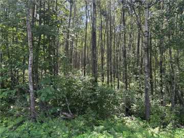 Hayward, WI: Lot 1 W Nelson Lake Road