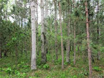 Webster, WI: Lot 111 & 112 Bridle Road