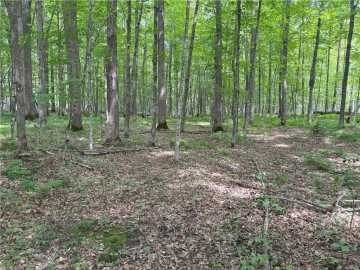 Birchwood, WI: 0 28 7/16-28 9/16 Street