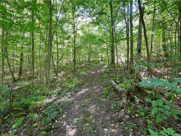 Rice Lake, WI: Lots 1 & 2 13 1/4 St 