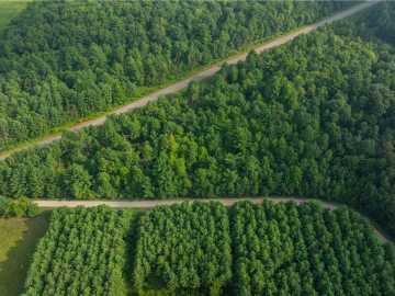 Fairchild, WI: +/- 13 Acres County B / Monthei Rd. 