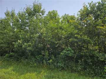 Spooner, WI: xxx Trails End 