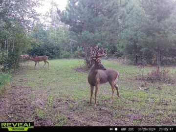Frederic, WI: 00 56th St.