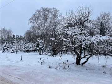 Butternut, WI: 20 +/- Acres County Hwy F 