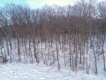 Frederic, WI: 158AC 110th Street