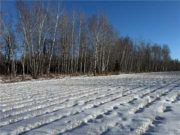 Sheldon, WI: N8817 Smith Drive