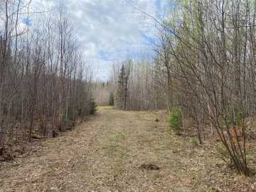 Phillips, WI: Near Wilson Lake Road 