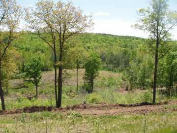 Mellen, WI: Lot 1 On Highway 169 
