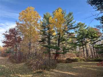 Springbrook, WI: XX Shore Drive 