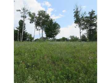 Menomonie, WI: Lot 13 516th Street
