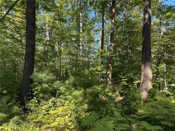 Barnes, WI: 0 E Wilderness Court