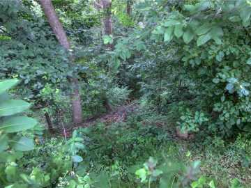 Chippewa Falls, WI: Lot 4 North Street