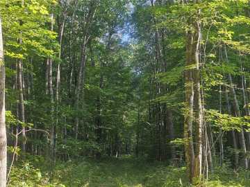 Webster, WI: Lot 3 County Rd A 