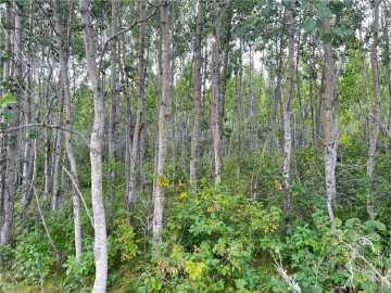 Wascott, WI: Lot 1 County Road T 