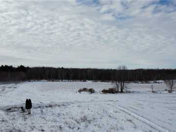 Cadott, WI: 1768 290th Street 