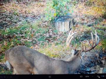 Independence, WI: 890 S Independence Road 